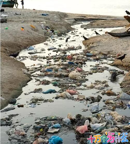 为什么超市不再提供免费塑料袋