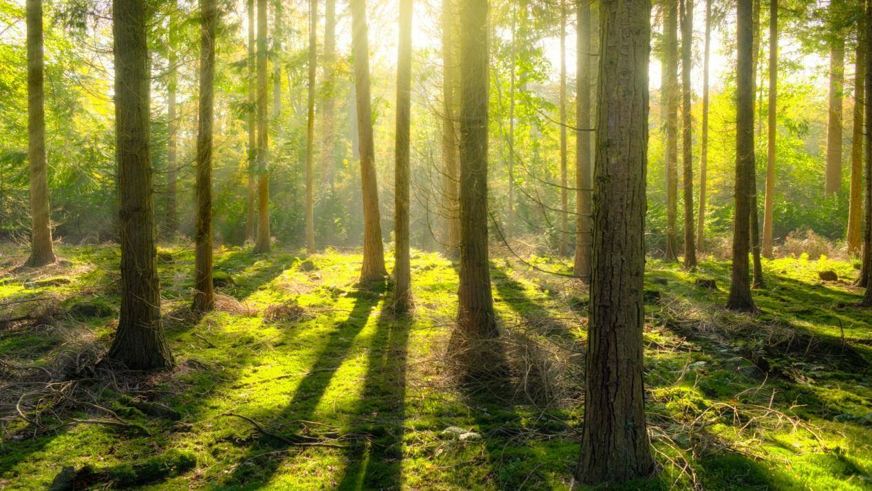 科普:你真的了解我们居住的星球吗?盘点62个关于地球的惊人事实