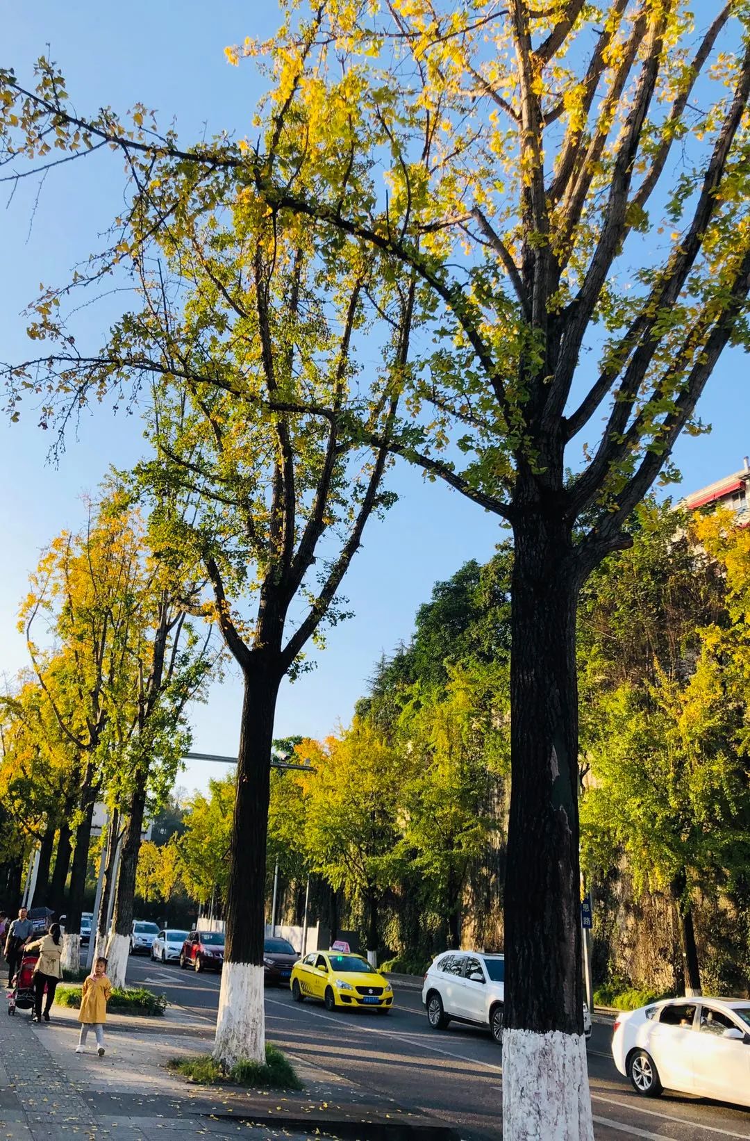 科学小故事之十万个为什么