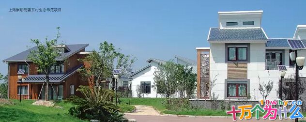 生态城市该如何拜自然为师