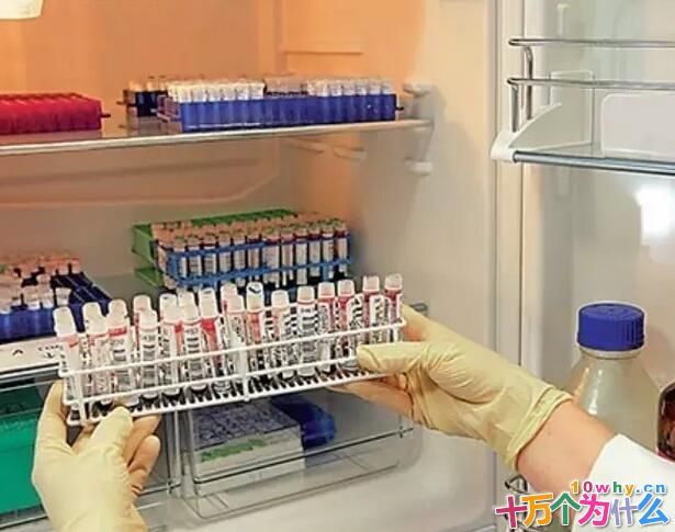 冰箱为什么会爆炸