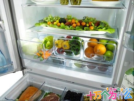 冰箱为什么可以保存食品