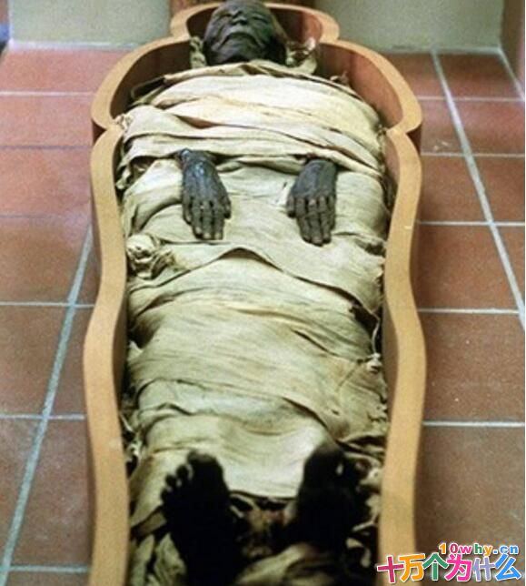 为什么会形成木乃伊