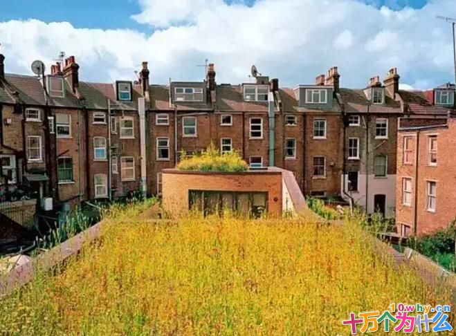 为什么要给房子“穿衣戴帽”