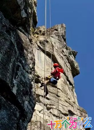 为什么每个人的体质不同