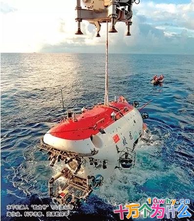 世界上有多少种机器人