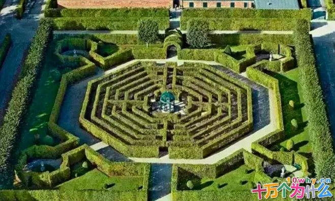 传统的西方几何式园林造得像迷宫