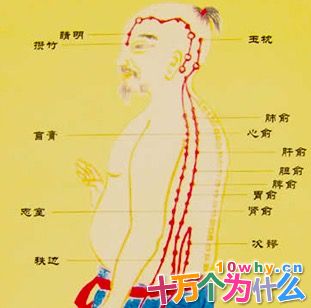 中医补肾可以延缓衰老吗