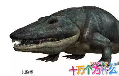 史前最大的两栖动物有多大