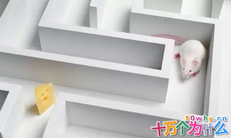 试管婴儿技术安全吗