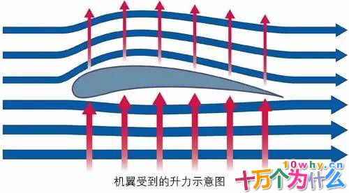 为什么飞机能飞上天