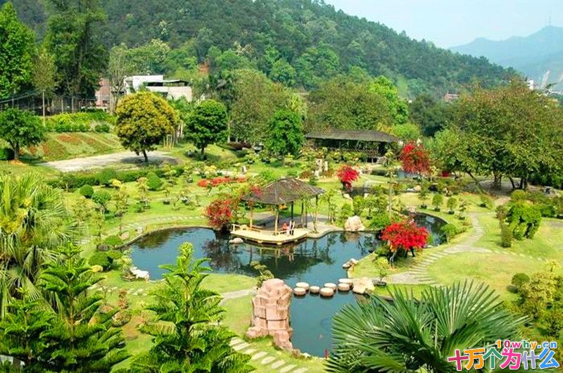 花草为什么容易使人心旷神怡