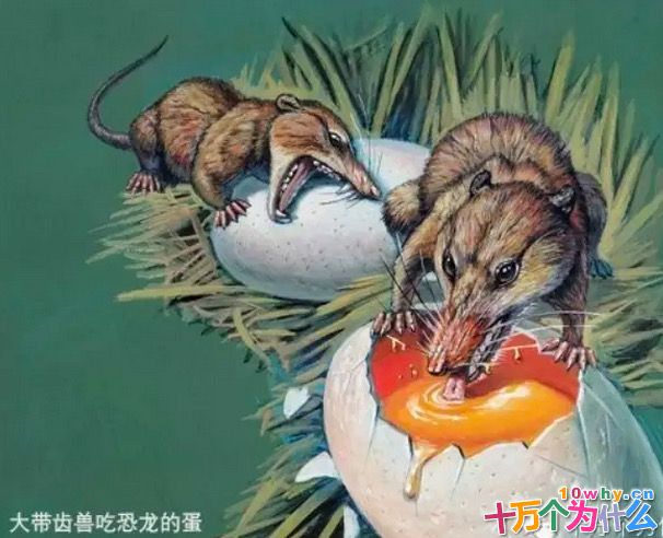 恐龙时代有哺乳动物吗