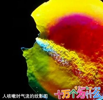 人为什么会咳嗽