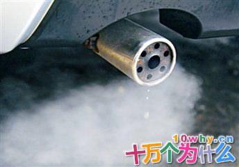 为什么要禁用含铅汽油