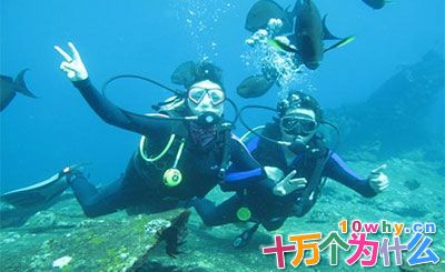 人类能潜入多深的海底