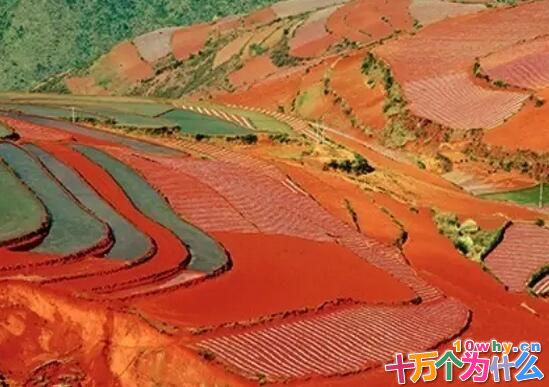 为什么中国南方有大片红土地