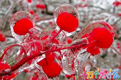 为什么天上会下雨和下雪