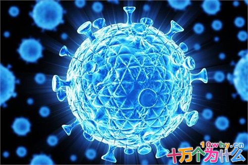 为什么研制艾滋病疫苗困难重重