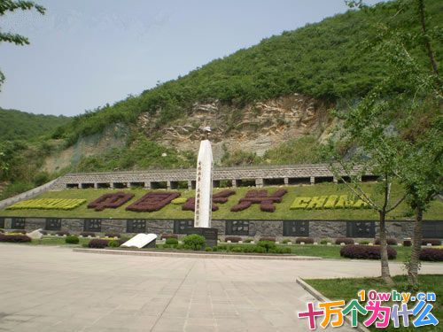 为什么“金钉子”那么珍贵