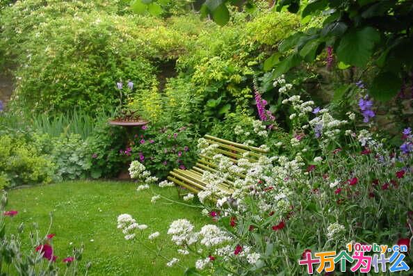 花草为什么容易使人心旷神怡