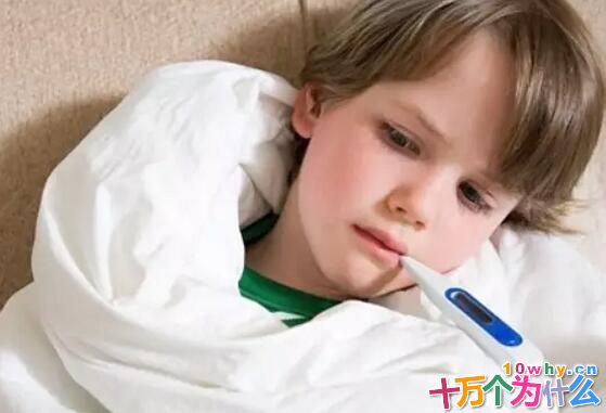 人为什么会发热