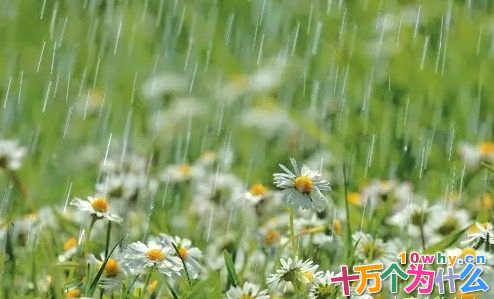 为什么天上会下雨和下雪