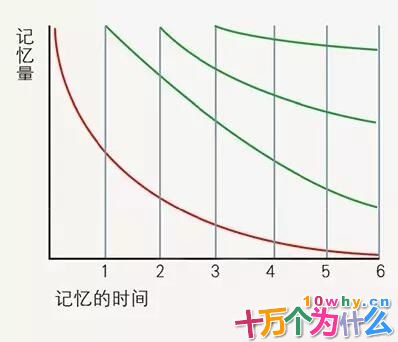 为什么单词要背好几遍才能记住