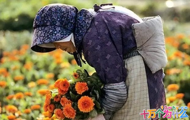 人老了为什么会驼背和变矮