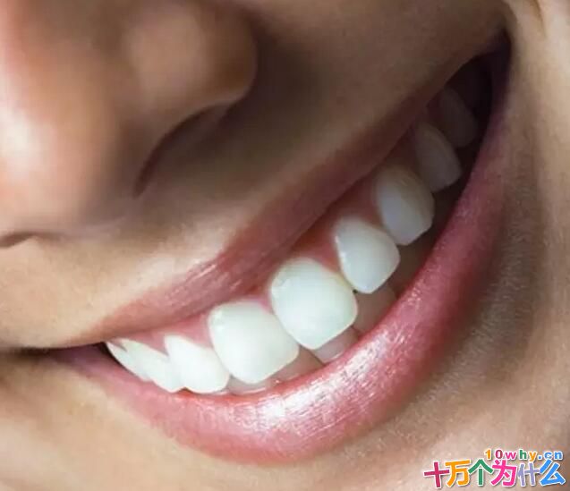 为什么有人长智齿有人却不长