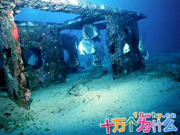 在海里建造“人工礁”有什么用