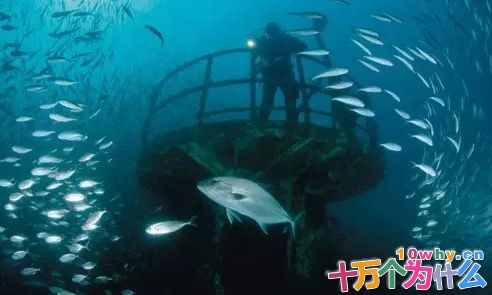 在海里建造“人工礁”有什么用