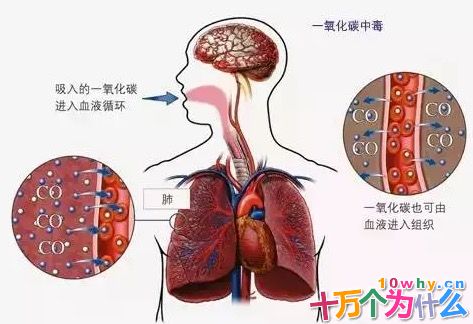 煤气为什么会使人中毒