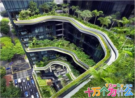 生态城市该如何拜自然为师