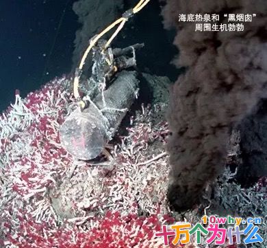 为什么天文学家特别关注海底热泉中的嗜极生命