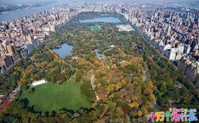 怎样给城市“降温”