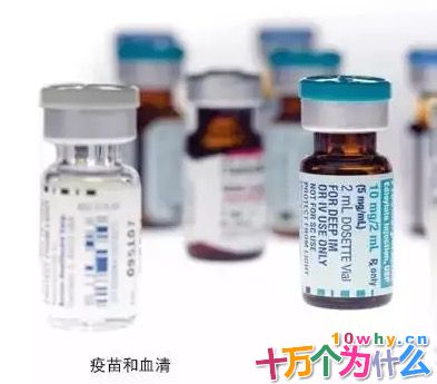 为什么要接种疫苗