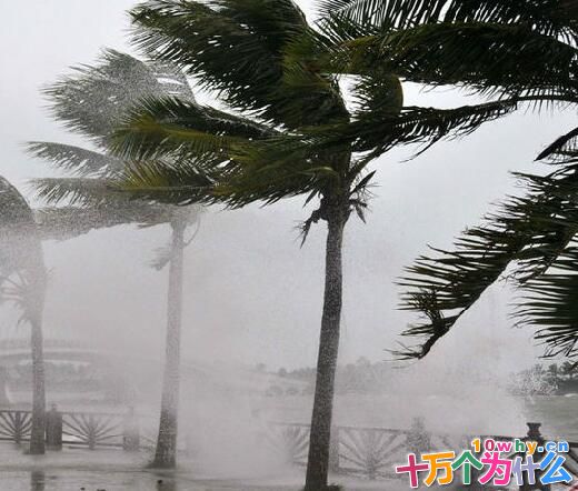 为什么有人盼望台风到来