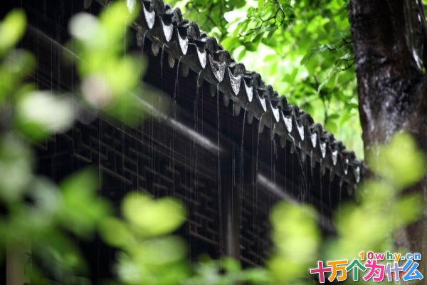 为什么江淮地区会有梅雨天气