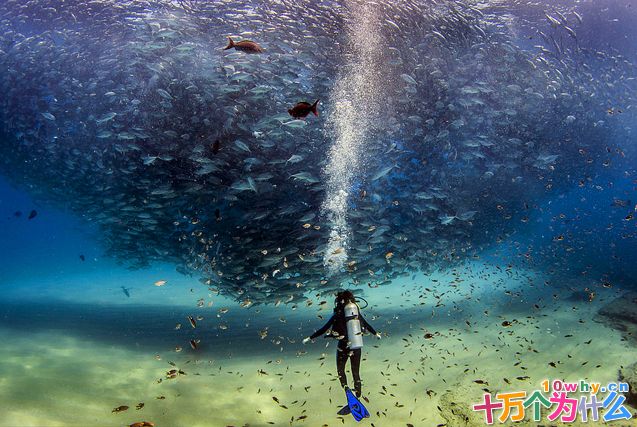 人类能潜入多深的海底