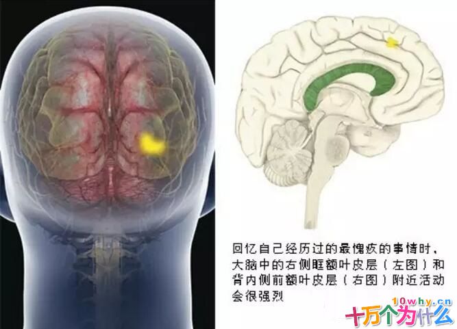 为什么做了坏事没人知道也会感到亏心