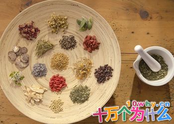 为什么中药方子中总有那么多药材