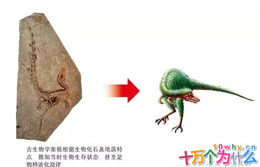 福尔摩斯是如何探案的