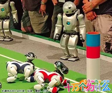 世界上有多少种机器人