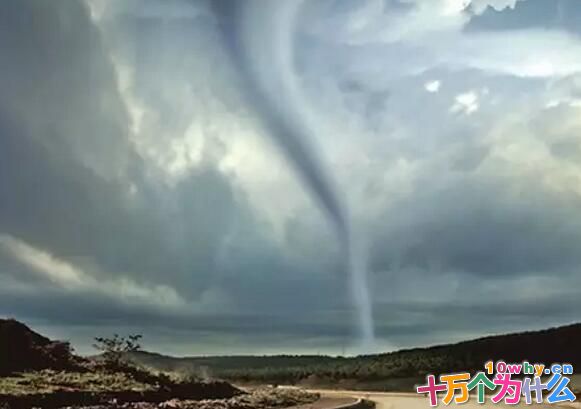 当你把一大桶水一下子倒入洗手池的时候,你注意过水是怎样从排水孔流入下水道的吗?绝大部分情况下,它们会旋转着流入下水道。那么,你注意到它们流下去时是顺时针还是逆时针旋转的呢? 大气中也有一个非常厉害的旋转着的家伙,叫龙卷风。它是一个像陀螺一样高速旋转、头大脚小的怪物,它的速度非常快,中心附近的最大风速可以达到每秒几十米甚至二三百米,最高速的龙卷风甚至比最快的F1赛车还要快呢!龙卷风出现时往往伴随着瓢泼大雨、隆隆的雷声以及劈头盖脸砸下的鸡蛋般大小的冰雹,再加上它摧枯拉朽一般的巨大风力,危险且惊人。 那么,龙卷风是顺时针旋转还是逆时针旋转的呢?在北半球,人们记录到的大部分龙卷风是逆时针旋转的,但也有顺时针旋转的。为什么会这样呢?地球自转产生的偏向力在南北半球的方向不一样:如果运动的物体处在北半球,地转偏向力的作用会让它右偏,而在南半球则左偏。可是,这个地转偏向力有一个“毛病”,对小范围的物体运动起到的作用不大,而对大范围的物体运动作用非常明显。 所以,对于像流入下水道的水这种非常小范围的运动,由于最初给它的微小扰动不同,旋转方向是不一定的,顺时针和逆时针旋转次数都差不多;而每年都影响东亚、东南亚沿岸的台风,因为都是体量巨大的“彪形大汉”,受地转偏向力作用就总是逆时针旋转。然而,龙卷风却处在一个尴尬的大小范围上,属于小尺度天气系统:既会受到地转偏向力的作用,作用又不是很强。结果在北半球,大部分“听话”的龙卷风逆时针旋转;而少数体形较小又比较“叛逆”的龙卷风,就可能会是顺时针旋转。 有趣的是,有时候龙卷风还会成对出现,并且一个逆时针转、一个顺时针转,就像两个好朋友一样。