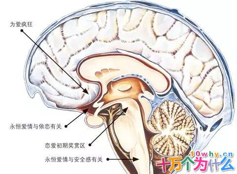 存在永恒的爱情吗