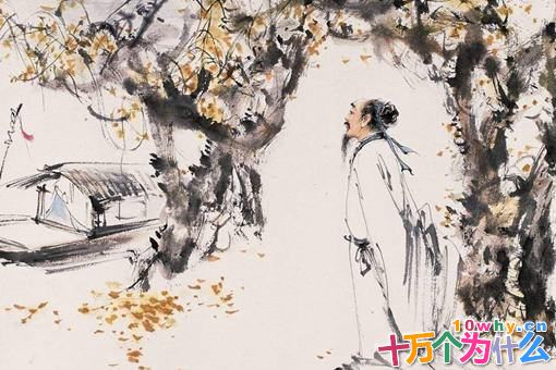 唐朝诗人为何白居易最受推崇 白居易诗魔的来历是怎样的 唐朝诗人为何白居易最受推崇 白居易诗魔的来历是怎样的