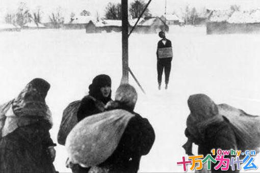 苏联女英雄卓娅是怎么死的?揭秘卓娅遇害详细过程