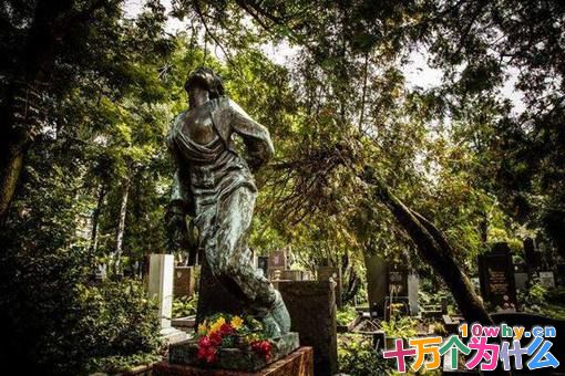 苏联女英雄卓娅是怎么死的?揭秘卓娅遇害详细过程