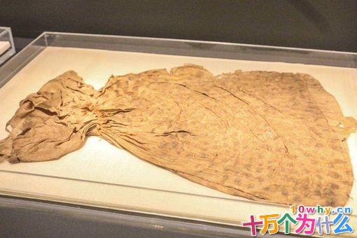 辛追真实历史 辛追夫人的真实身份 辛追真实历史 辛追夫人的真实身份